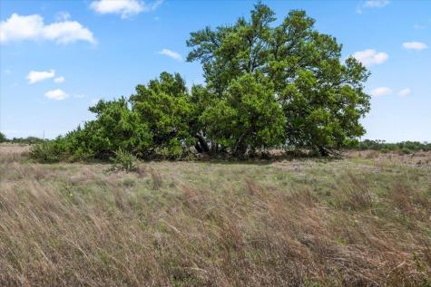 6594 W Highway 290 Dripping Springs TX 78620