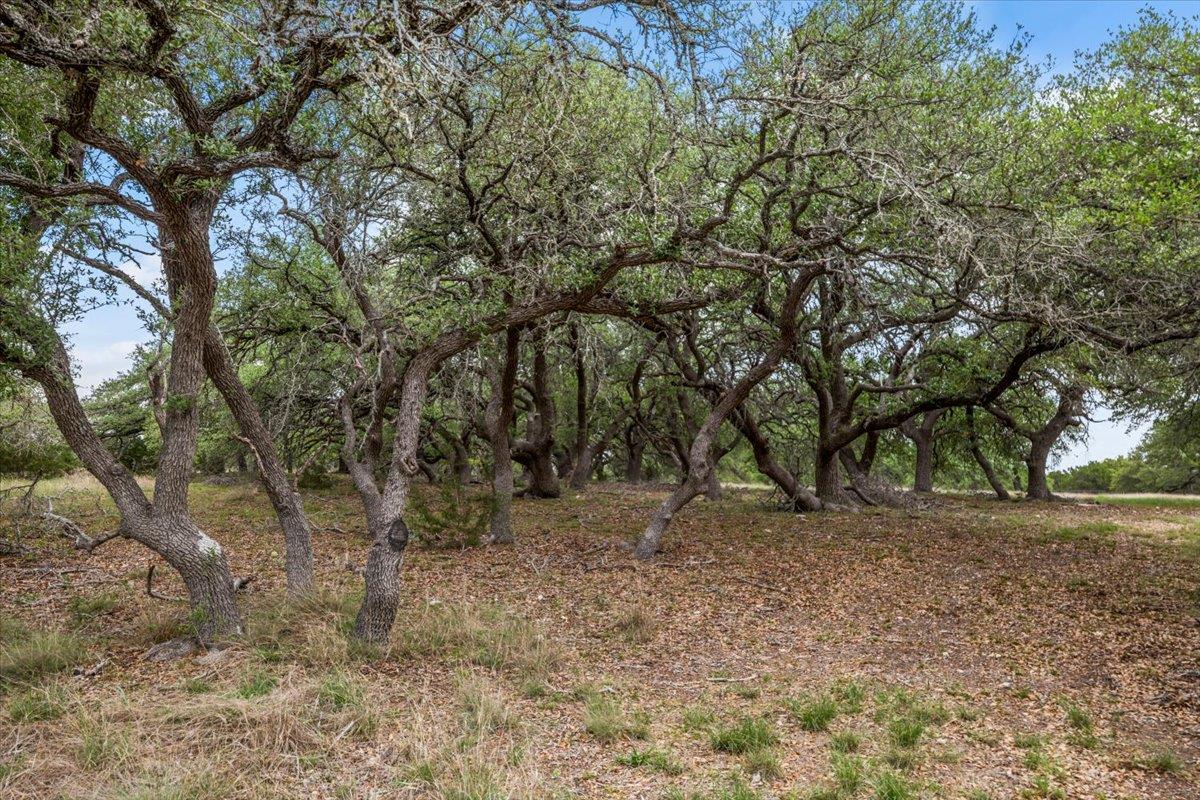 6594 W Highway 290 Dripping Springs TX 78620