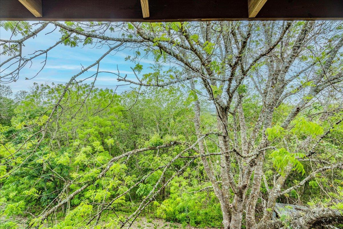 921 Peggys Cove Kyle TX 78640