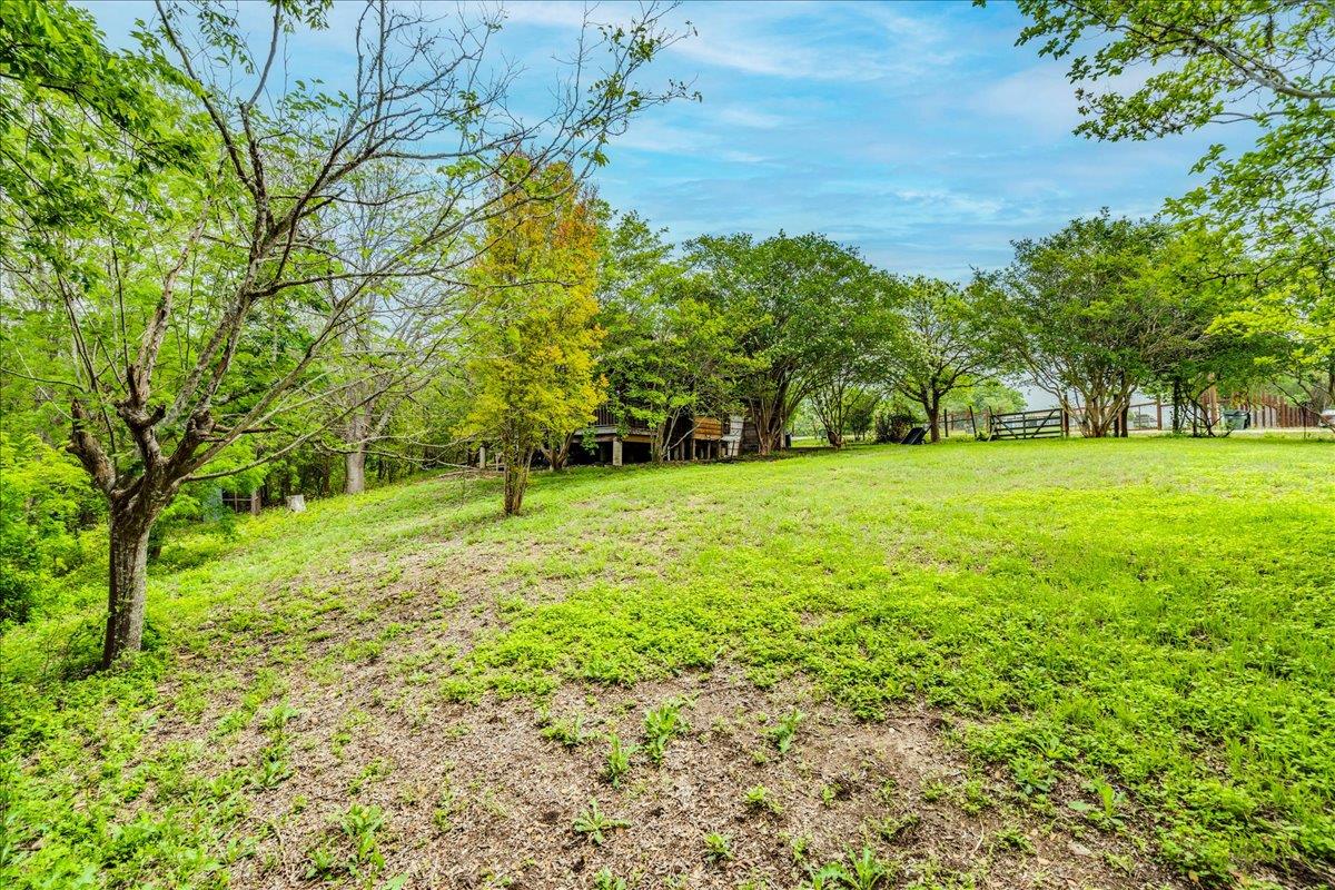 921 Peggys Cove Kyle TX 78640