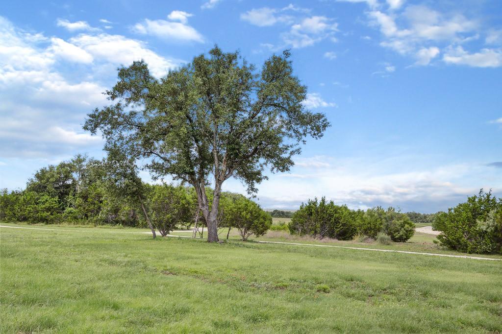 221 Longmount Cove Liberty Hill TX 78642