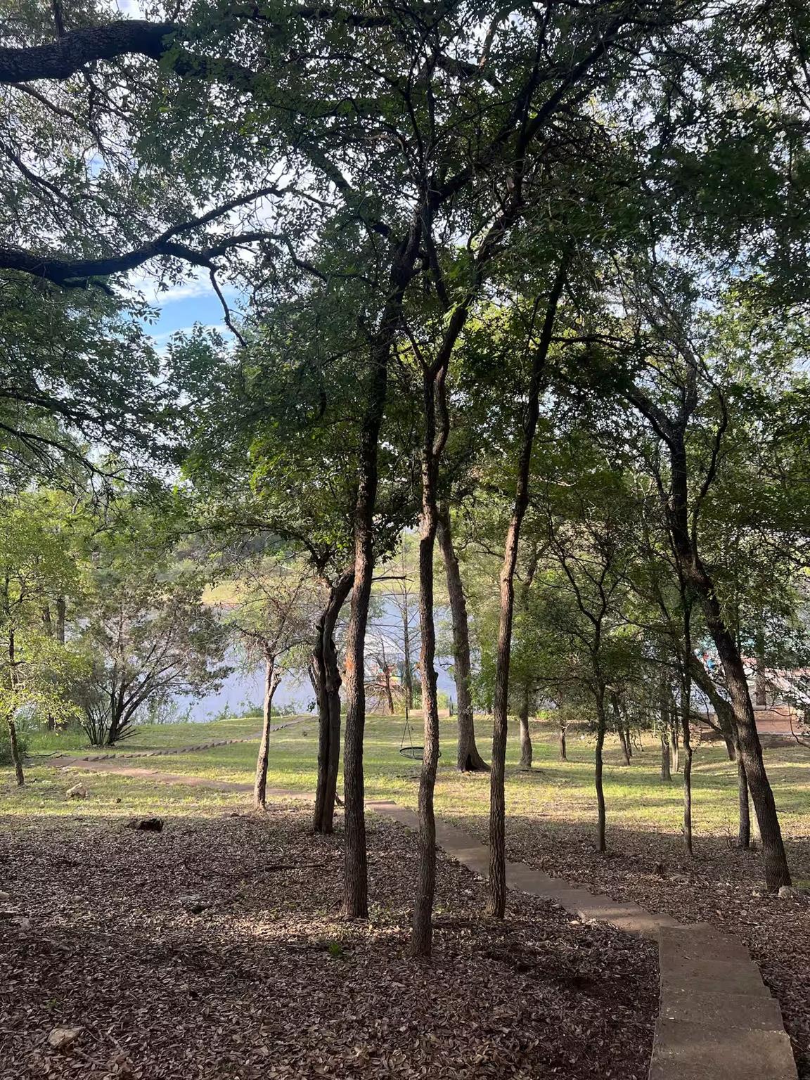 25404 Cove Drive Spicewood TX 78669