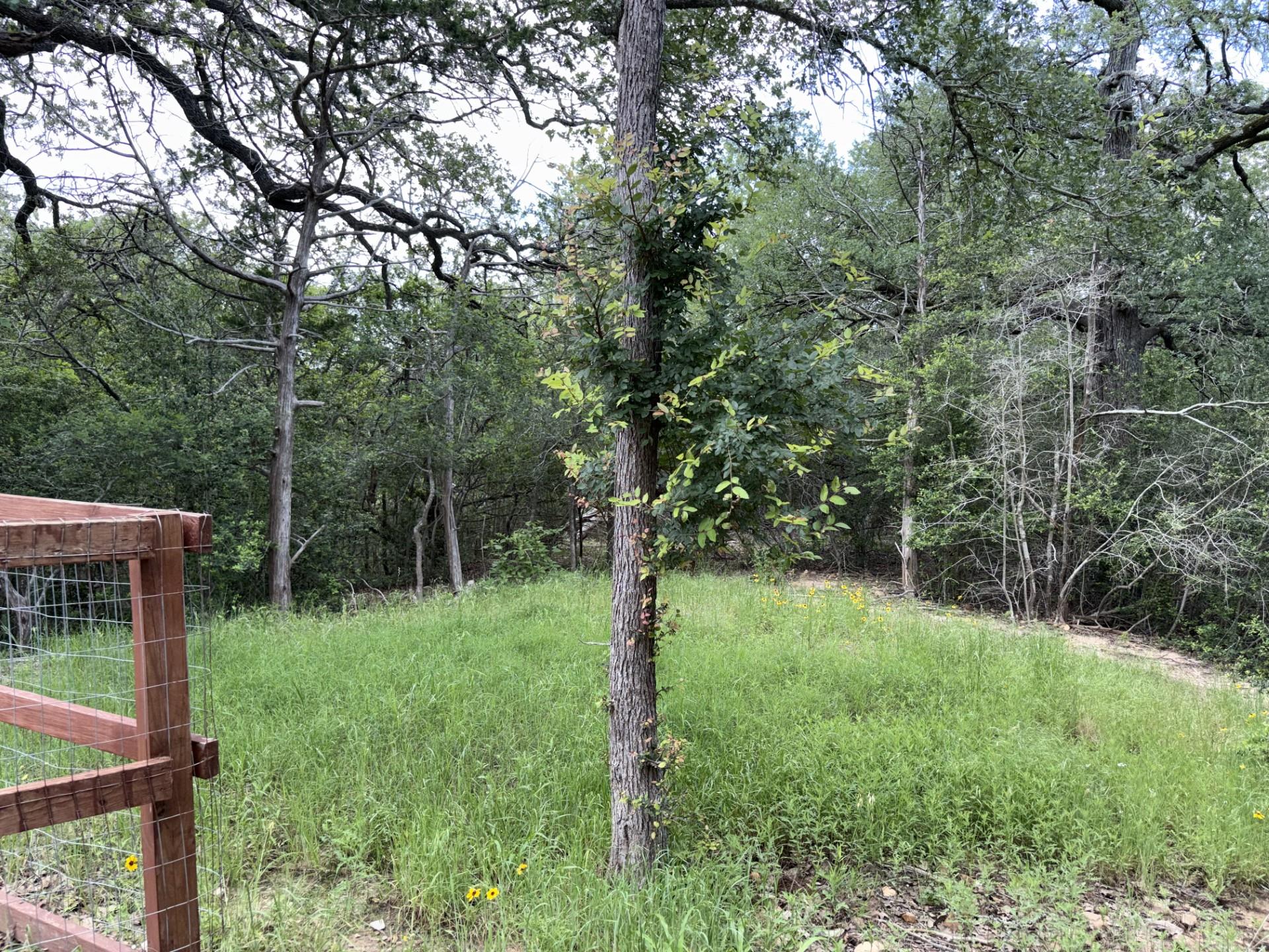 209 Iva Lane Bastrop TX 78602