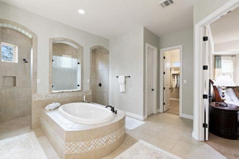 1177 Bluff Woods Drive Driftwood TX 78619