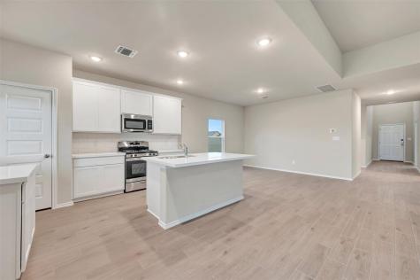 20008 Schatz Way Manor TX 78653