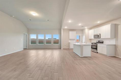 20008 Schatz Way Manor TX 78653