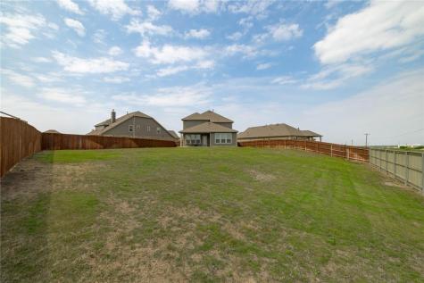 165 Carlina Loop Liberty Hill TX 78642