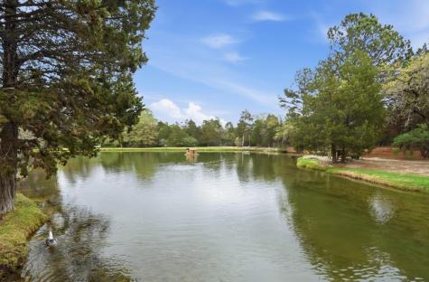 202 Cedar Hills Drive Elgin TX 78621