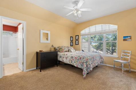 3107 Scarlet Oak Cove Round Rock TX 78665