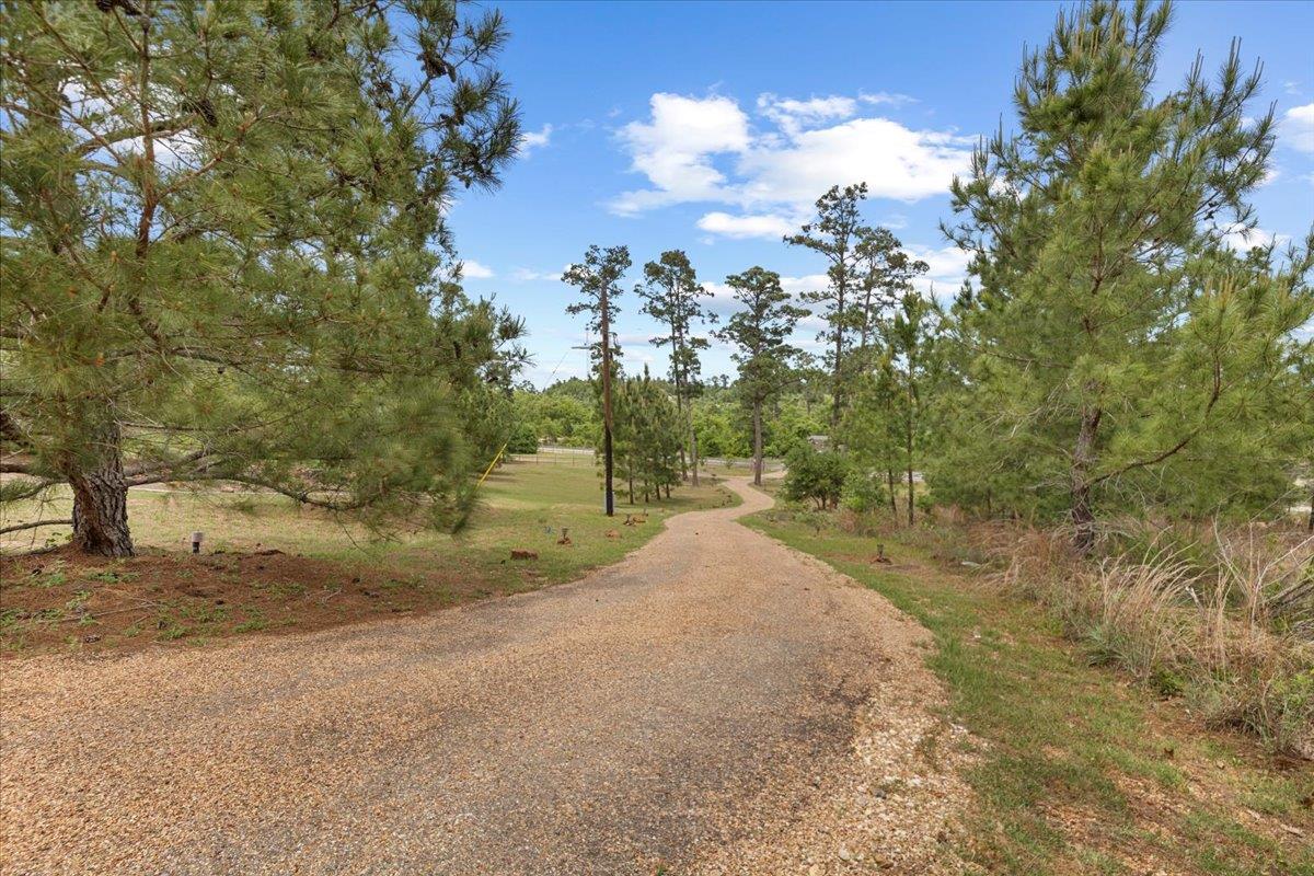 178 Pine Tree Loop Bastrop TX 78602