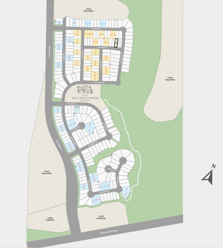 221 Coyote Willow Way Georgetown TX 78633