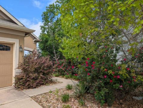 10908 Culzean Drive Austin TX 78754
