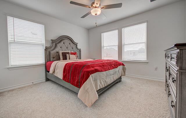 17325 Casanova Avenue Pflugerville TX 78660