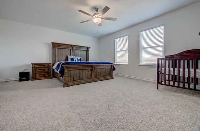 17325 Casanova Avenue Pflugerville TX 78660