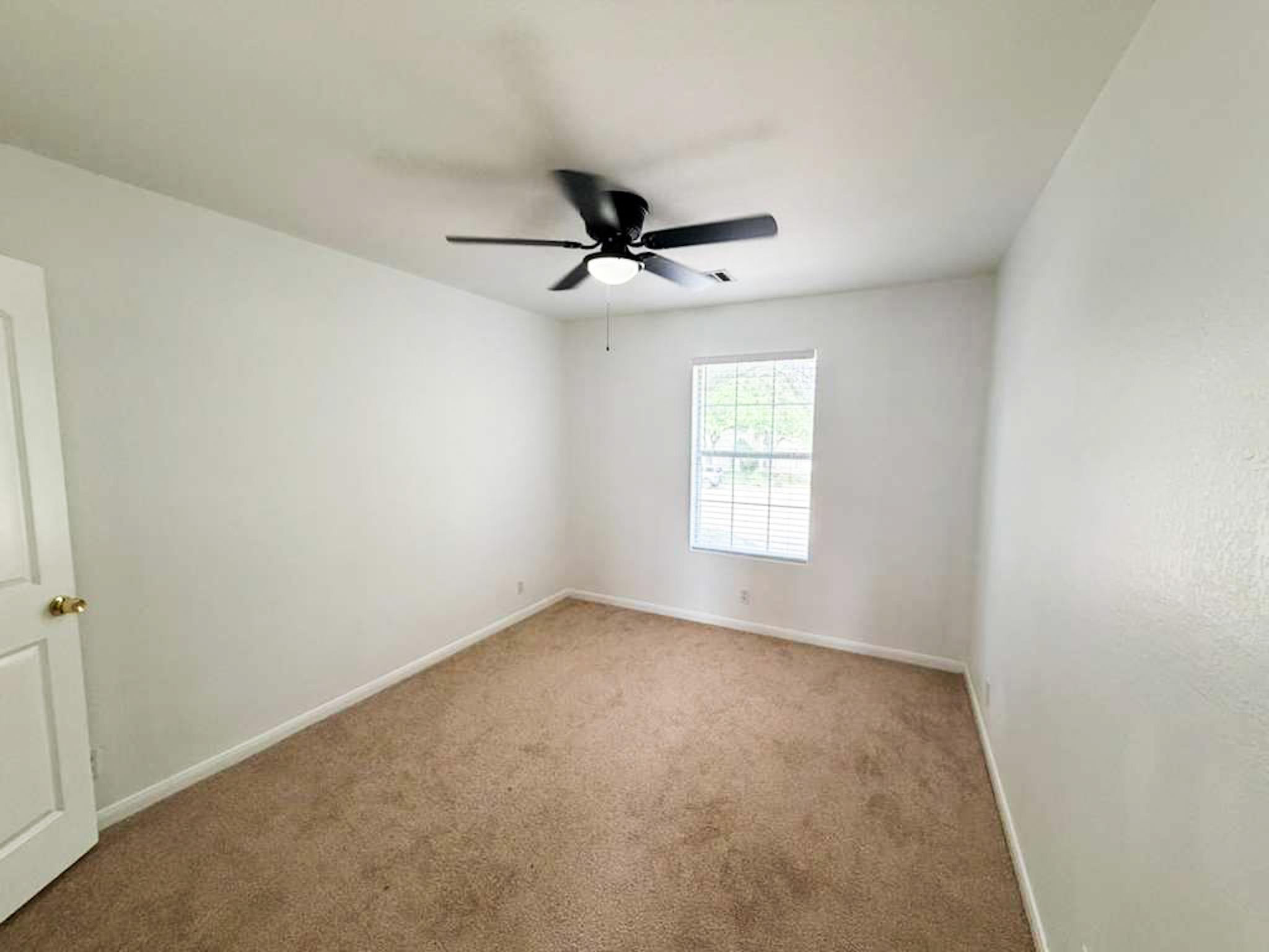 1623 War Horse Lane Round Rock TX 78664