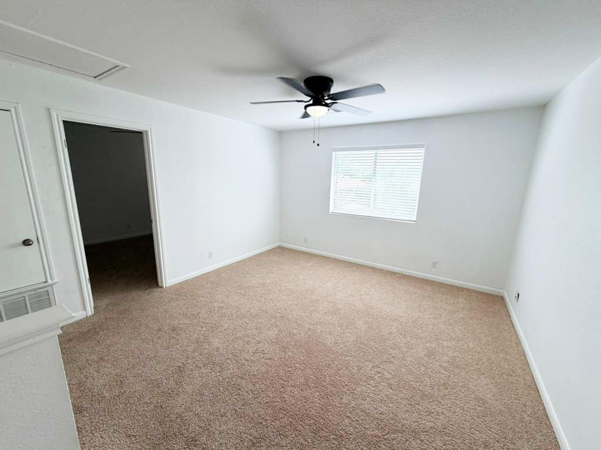 1623 War Horse Lane Round Rock TX 78664