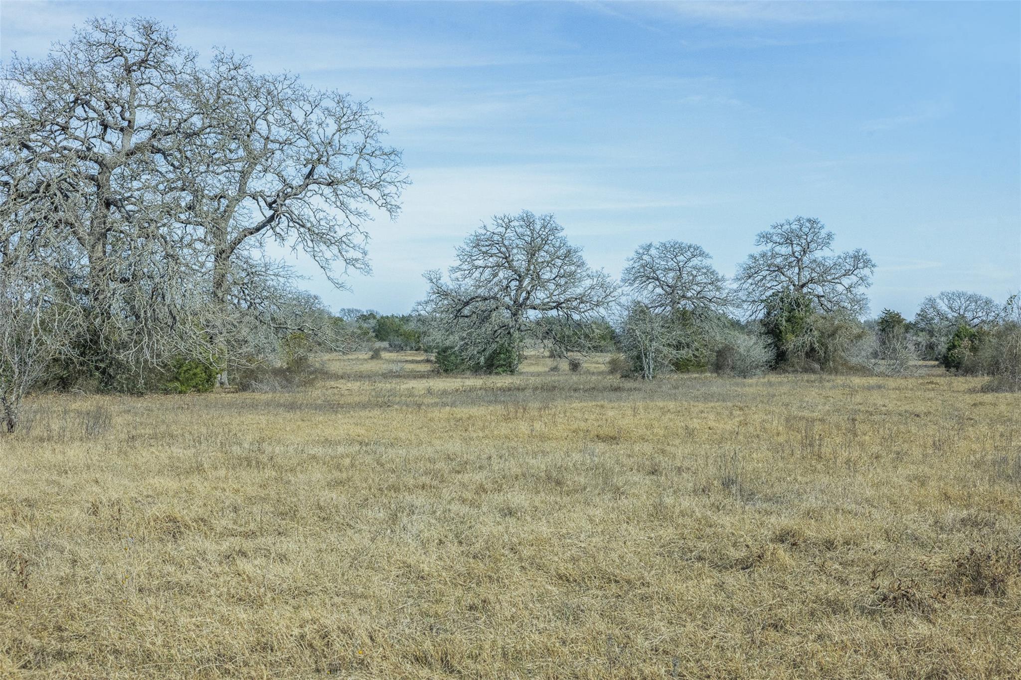 Tbd Cr 200 Giddings TX 78942