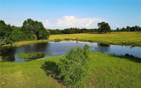 4791 State Highway 21 W (+/- 25 Acres) Caldwell TX 77836