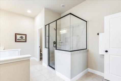 416 Mistflower Springs Drive Leander TX 78641