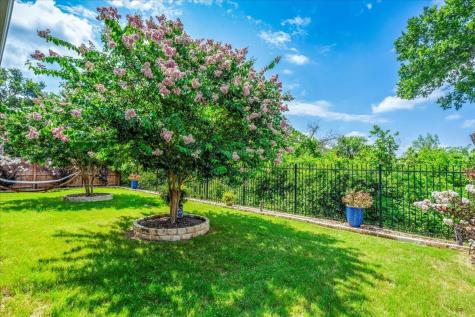 416 Mistflower Springs Drive Leander TX 78641