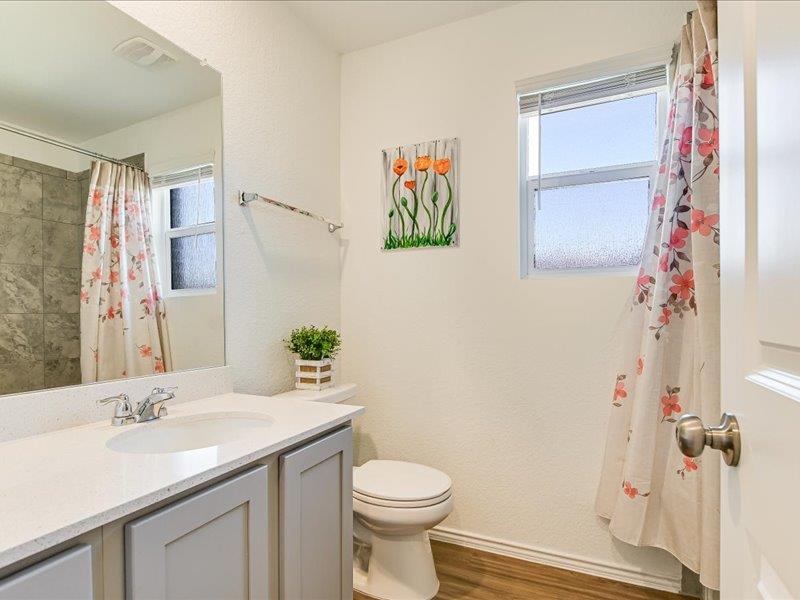 3201 Dusted Daisey Street Pflugerville TX 78660