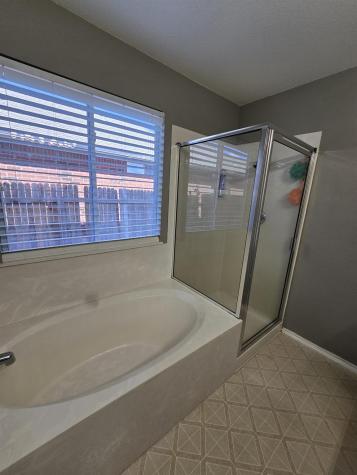 12304 Waterford Run Way Manor TX 78653