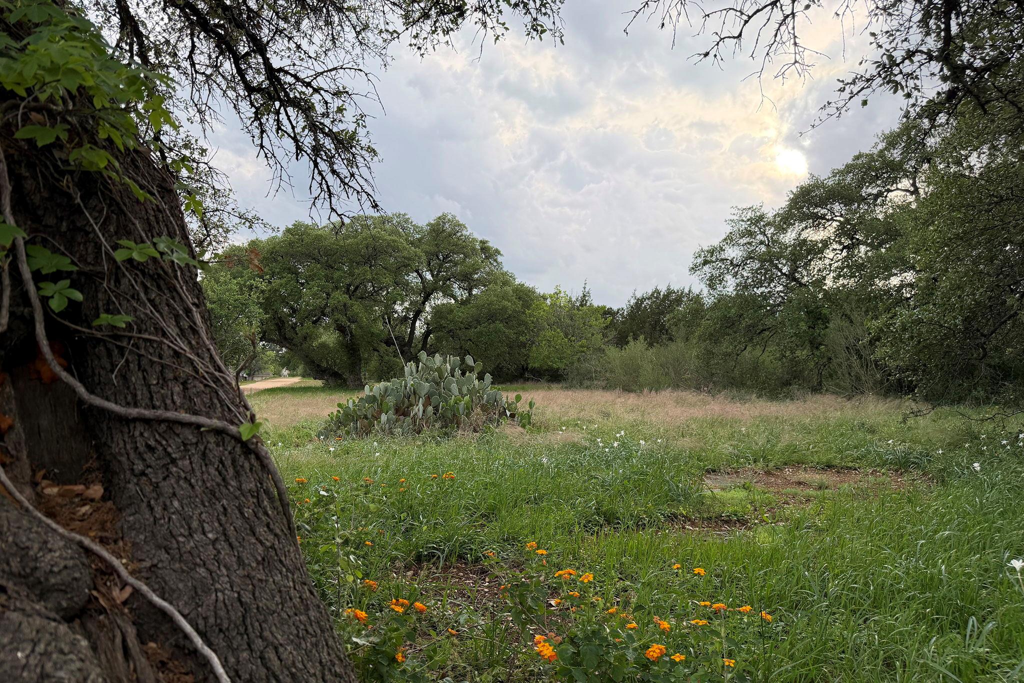 11707 Shoshone Drive Austin TX 78759