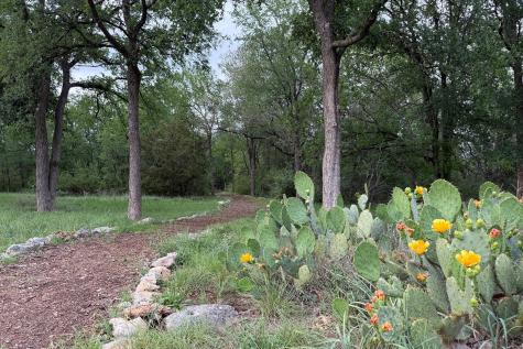 11707 Shoshone Drive Austin TX 78759