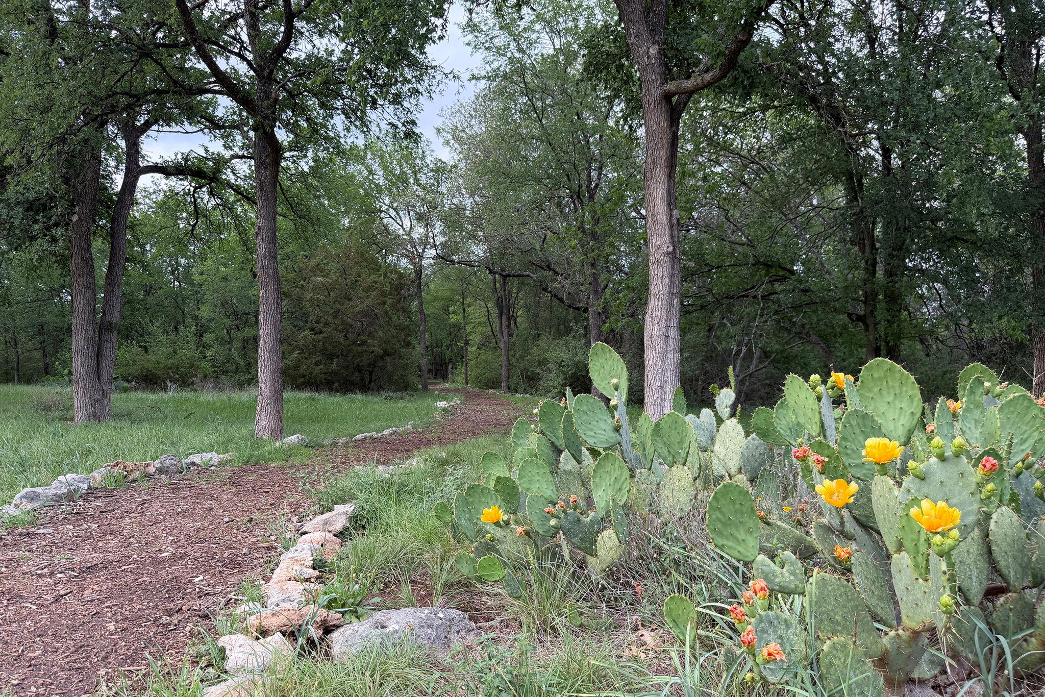 11707 Shoshone Drive Austin TX 78759
