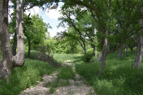 194 Gabriel Meadows Drive Hutto TX 78634
