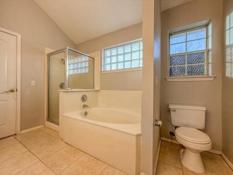 16908 Cactus Blossom Drive Pflugerville TX 78660