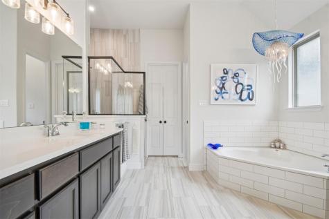 3375 Catalina Cove Round Rock TX 78665