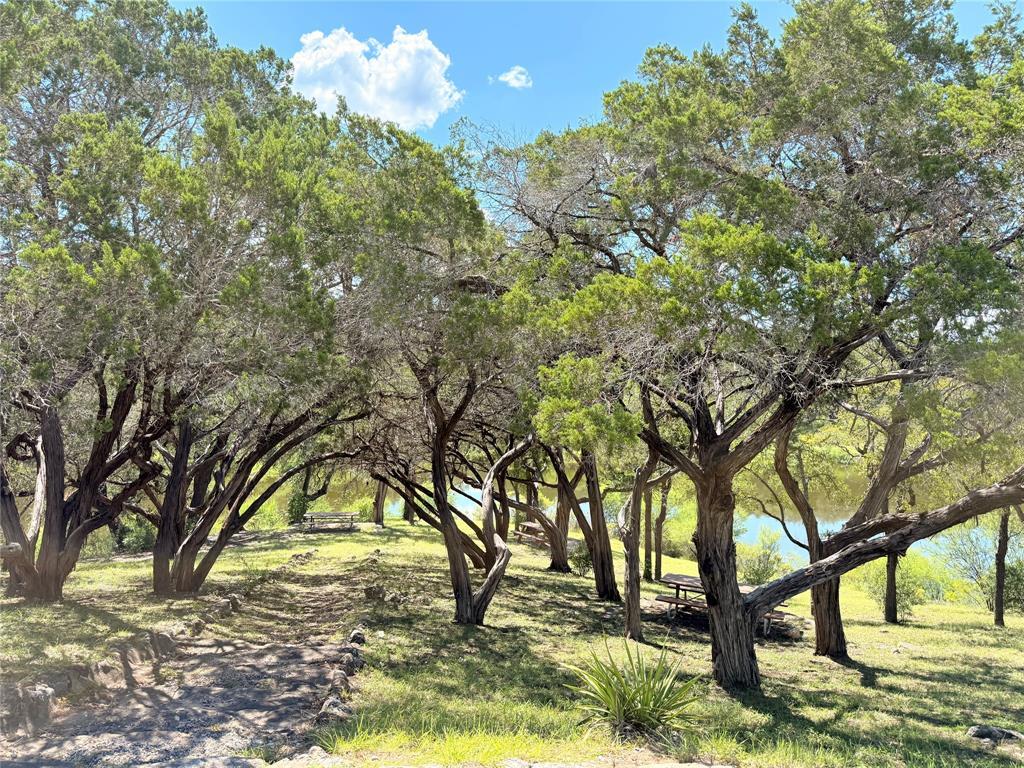 307 Bedford Drive Spicewood TX 78669