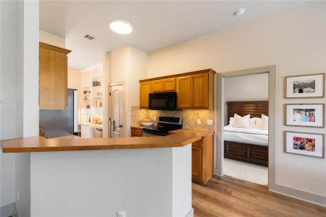 10102 Twin Lake Loop Dripping Springs TX 78620