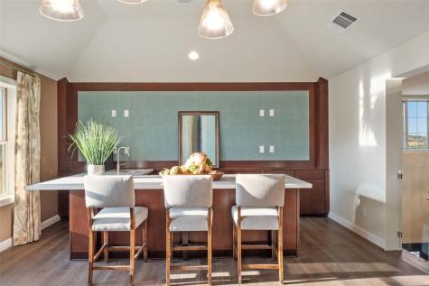 18101 Vistancia Drive Dripping Springs TX 78620