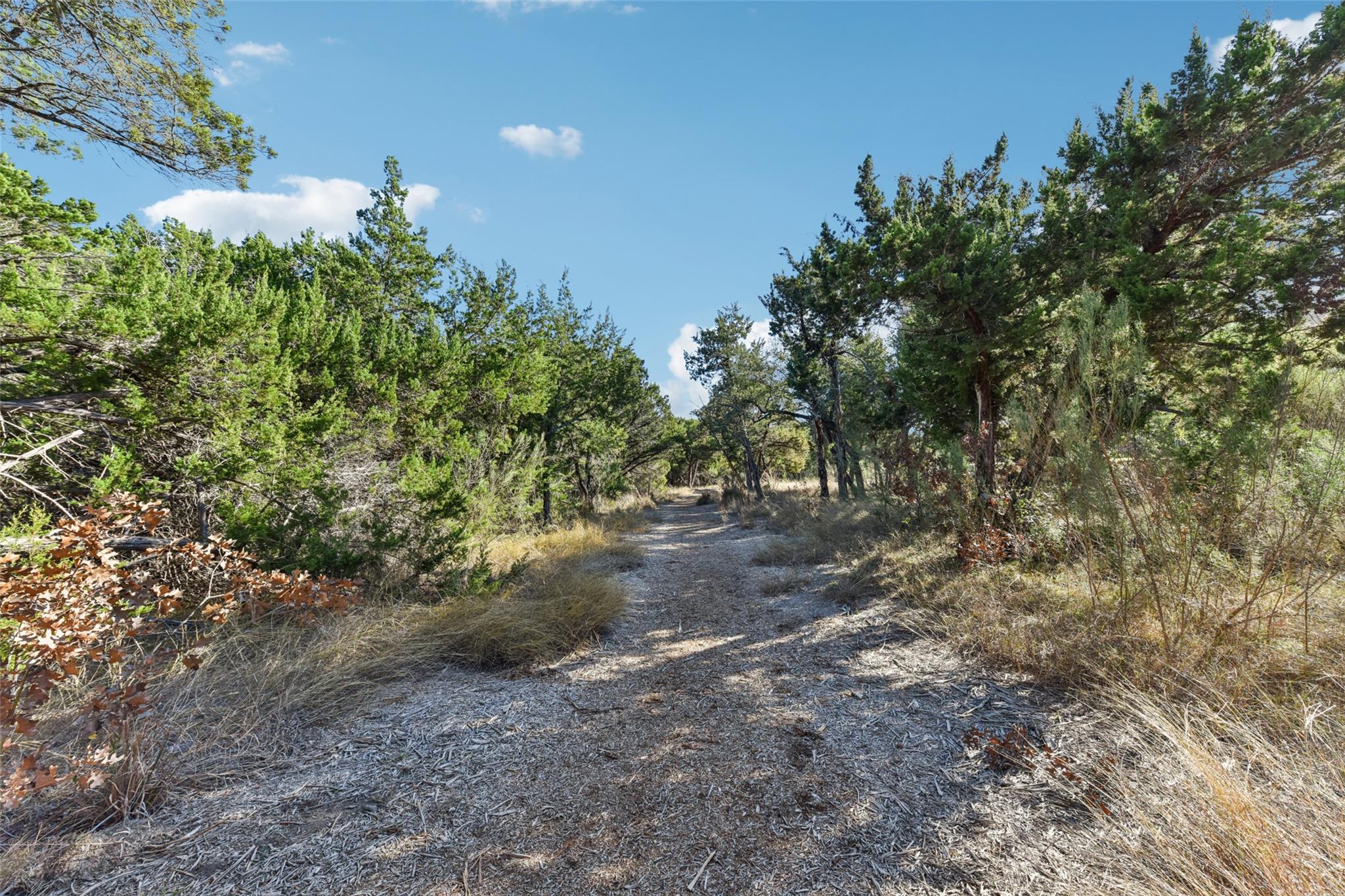 5629 Siragusa Drive Austin TX 78738