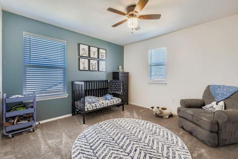 295 Kat Garnet Drive Kyle TX 78640