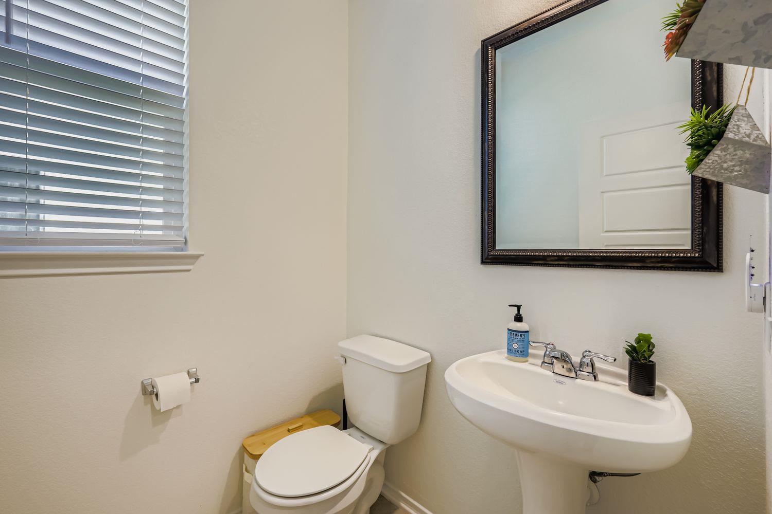 295 Kat Garnet Drive Kyle TX 78640