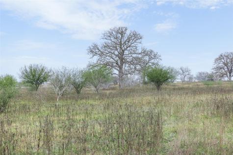 4025 County Road 284 Harwood TX 78632
