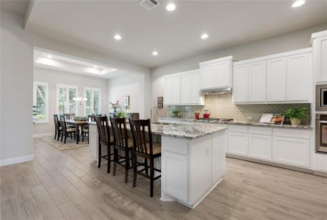 7425 Pace Ravine Drive Lago Vista TX 78645