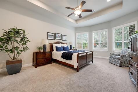 7425 Pace Ravine Drive Lago Vista TX 78645