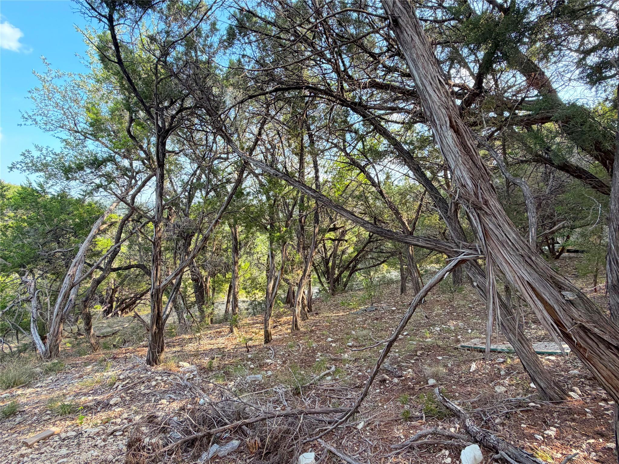 1362 Rockmoor Canyon Lake TX 78133