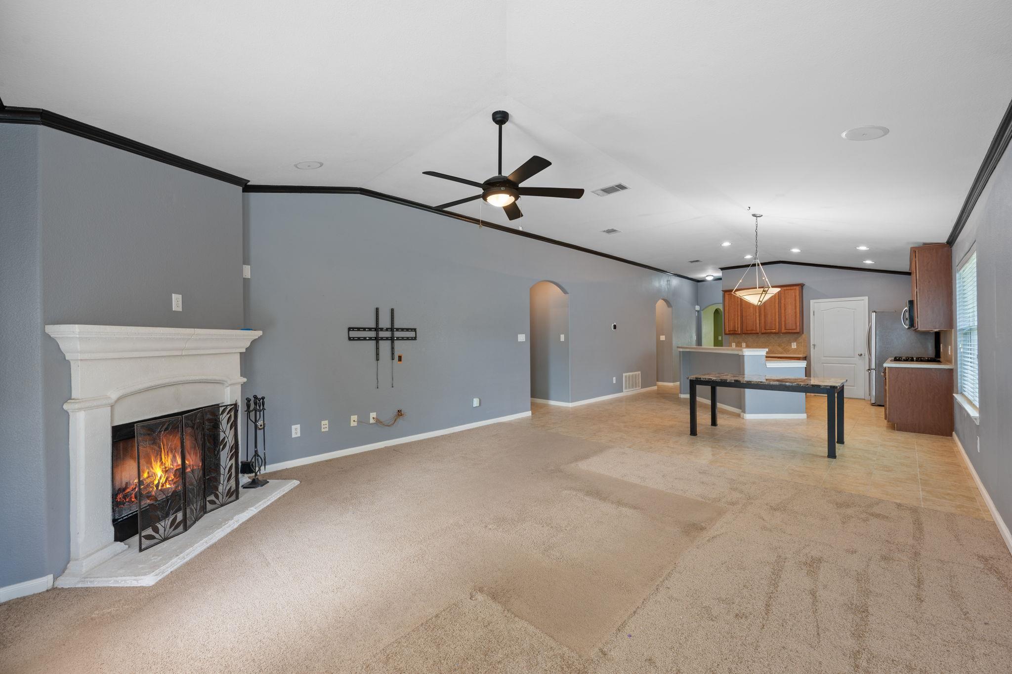 4207 Flat Stone Court Round Rock TX 78665