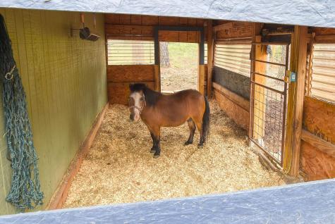 121 Pony Grass Lane Bastrop TX 78602