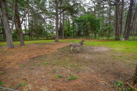 121 Pony Grass Lane Bastrop TX 78602