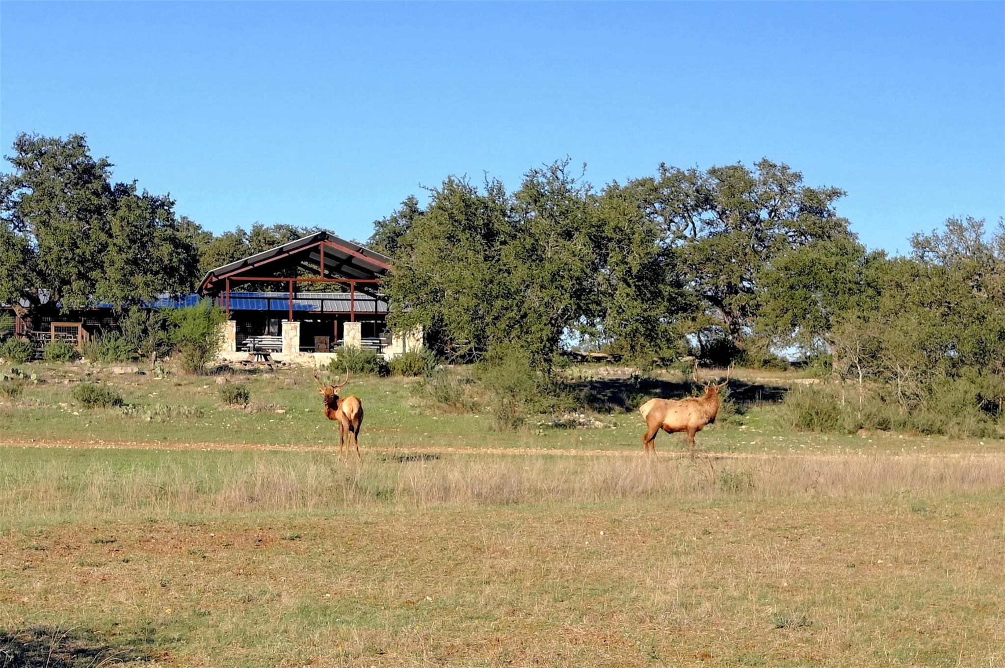 Lot 108 Oryx Cove Blanco TX 78606