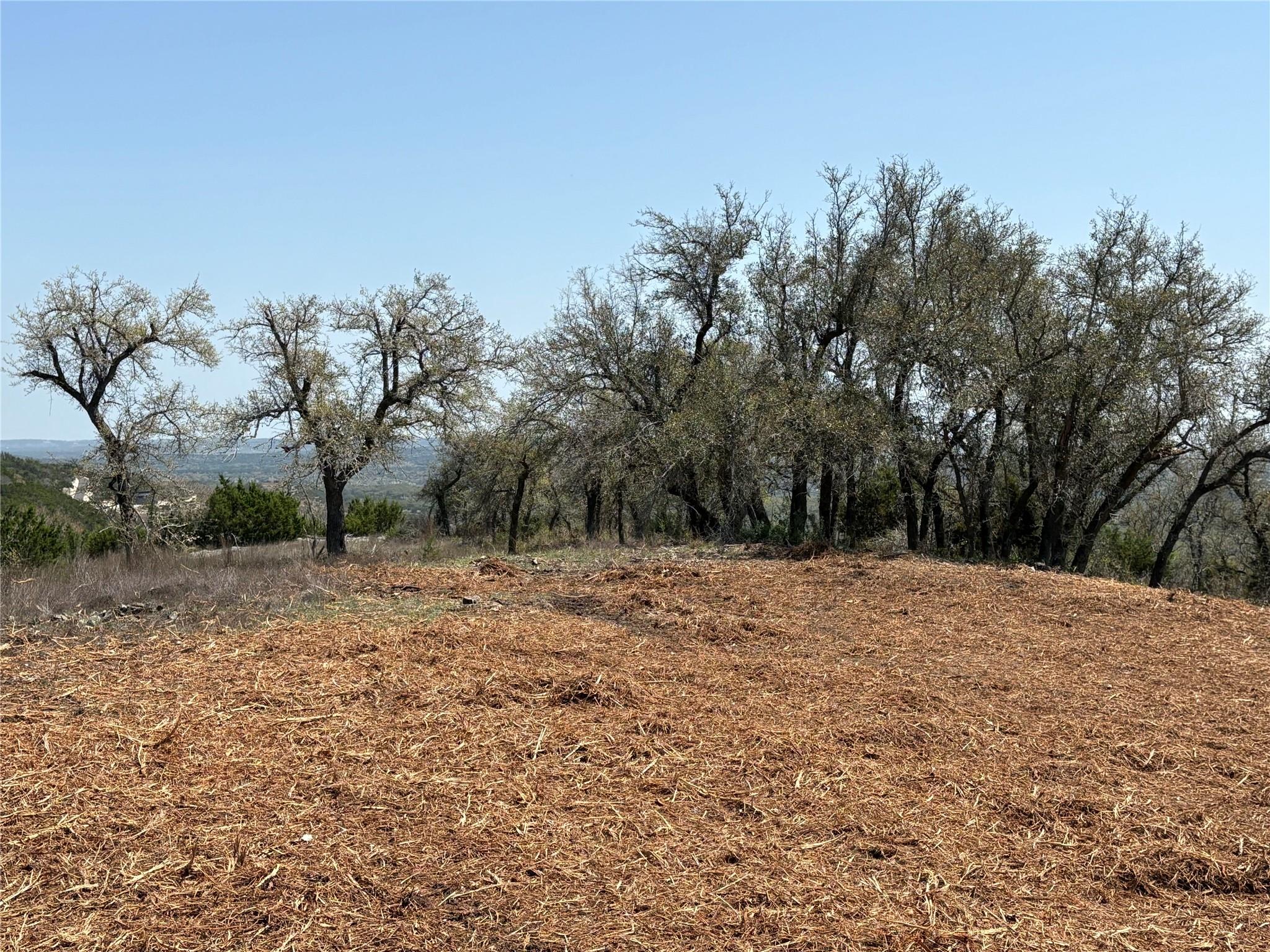 Lot 108 Oryx Cove Blanco TX 78606