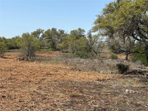 Lot 108 Oryx Cove Blanco TX 78606