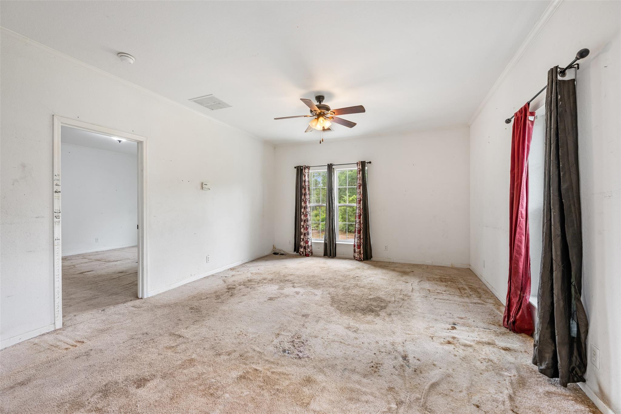 1303 Horizon Park Boulevard Leander TX 78641