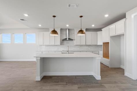 237 Sheepdog Drive Liberty Hill TX 78642